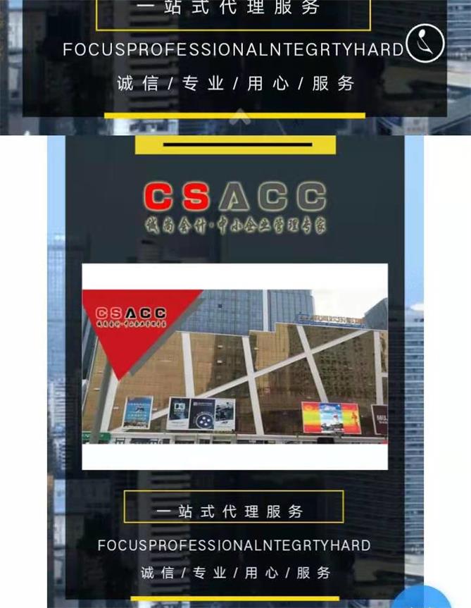 城西区审计财税服务需要多少钱,财税服务