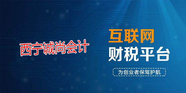 城西区审计财税服务需要多少钱,财税服务