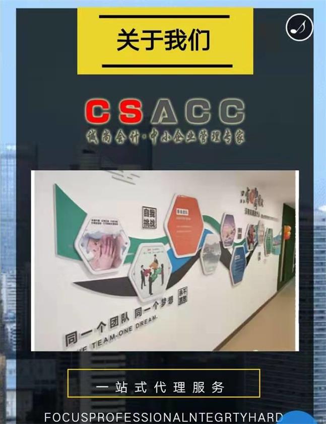 城西区审计财税服务需要多少钱,财税服务