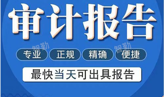 经济责任审计服务,审计