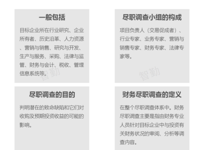 经济责任审计服务,审计