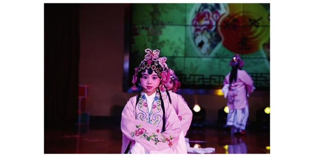 杨浦区宣传戏曲培训,戏曲培训