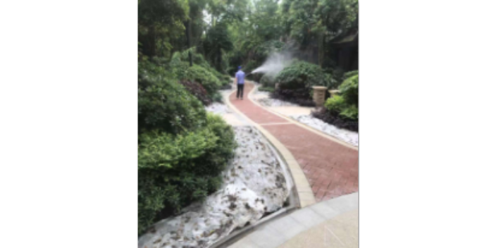 四川超市害虫防治推荐,害虫防治
