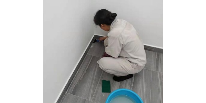 福建提供建筑物清洁服务售后服务,建筑物清洁服务
