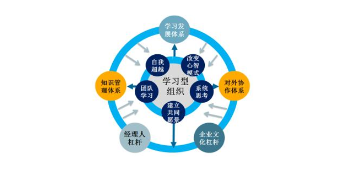 福建常见企业管理供应商家,企业管理