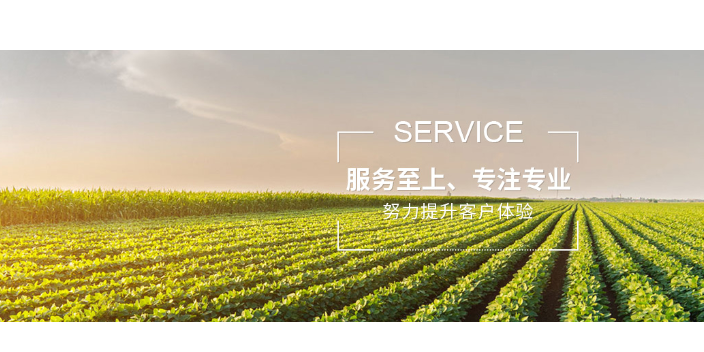 常州人力资源口碑好,人力资源