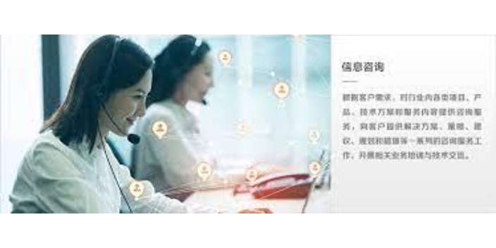 福建一对一信息咨询服务诚信经营,信息咨询服务
