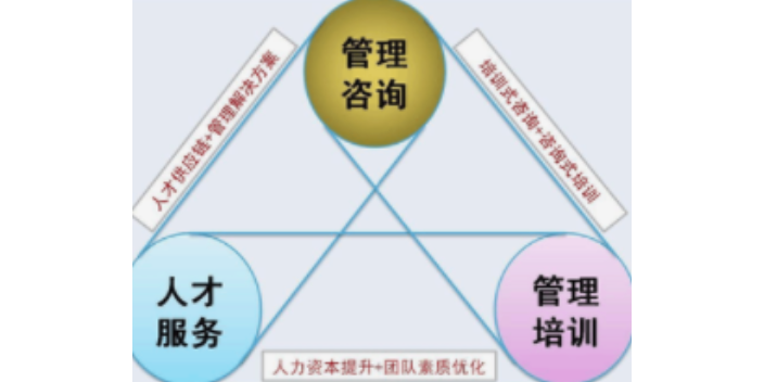 浙江品牌企业管理厂家报价,企业管理