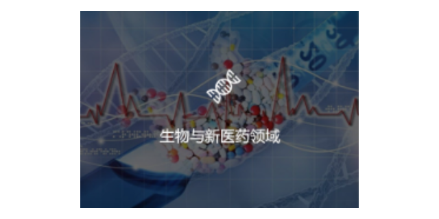 上海高新技术企业落户,高新技术企业