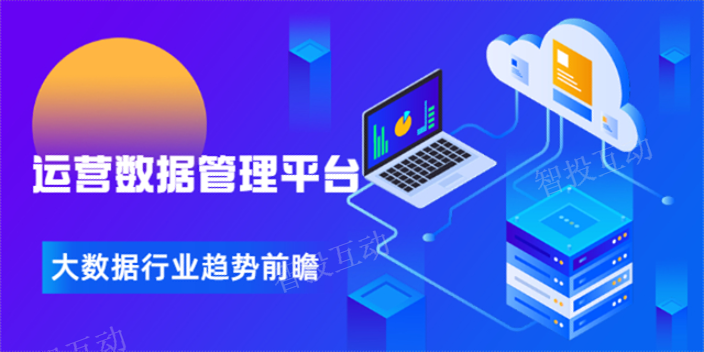 投放数据管理,数据