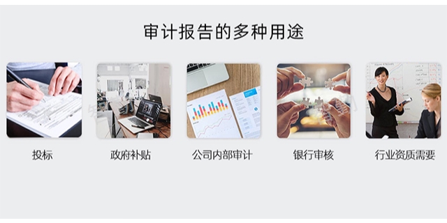 经济责任审计服务,审计