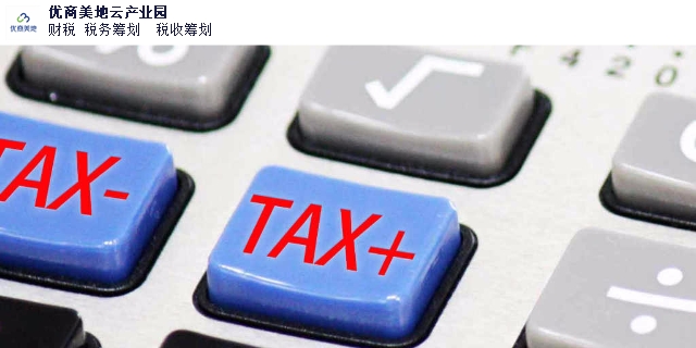 天津国家税务税务代理讲究,税务代理