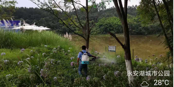 四川厨房马陆千足虫灭治公司,马陆千足虫灭治
