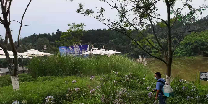 四川厨房马陆千足虫灭治公司,马陆千足虫灭治