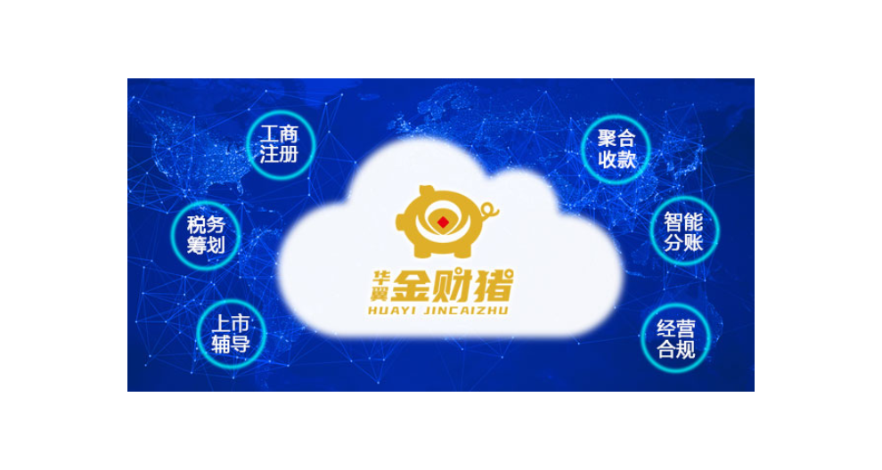 上海公司分账系统价格,公司分账系统