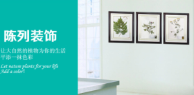 新乡腊叶标本定制,腊叶标本