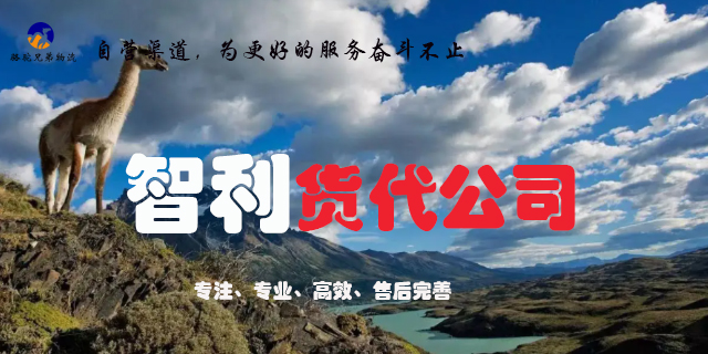 上海自营专线智利专线认真负责,智利专线