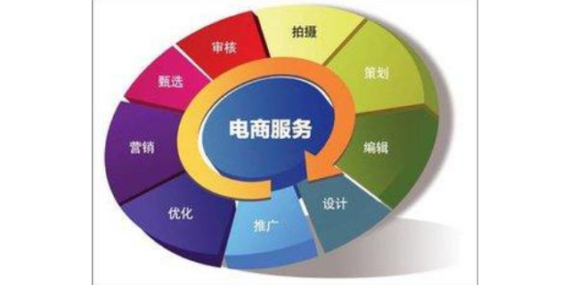 嘉定区专业性电子商务概况,电子商务