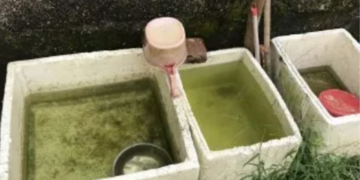 四川工厂蚊虫灭治费用,蚊虫灭治