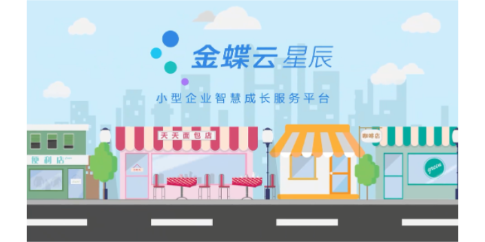 北辰区问金蝶erp系统金蝶软件代理商天诚时代杨总服务很细心,金蝶erp系统