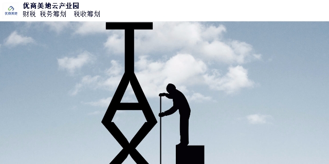 天津国家税务税务代理讲究,税务代理