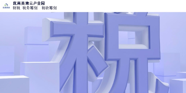 天津国家税务税务代理讲究,税务代理