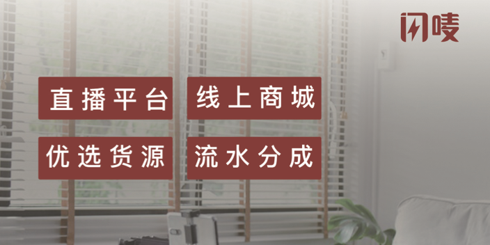 湖北新型直播带货平台闪唛供应链入驻,直播带货平台闪唛