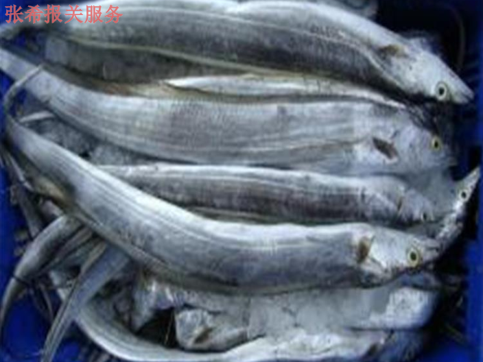 天津冻海鲜进口报关,海鲜进口报关
