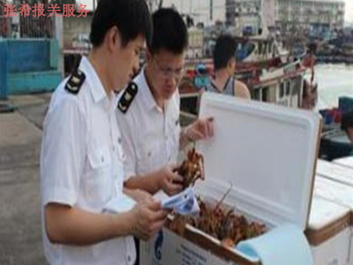 天津冻海鲜进口报关,海鲜进口报关