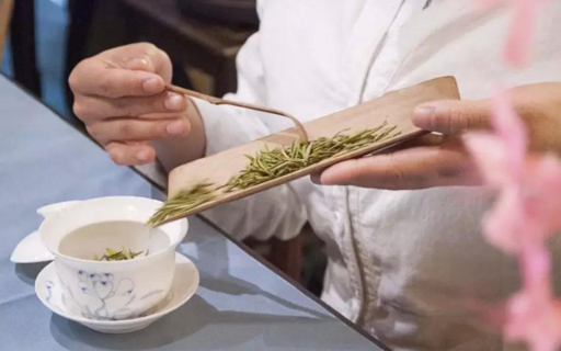 昆明专业茶艺师考证价格,茶艺师