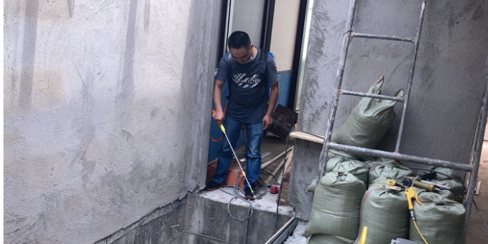 厂区装修白蚁预防服务电话,装修白蚁预防