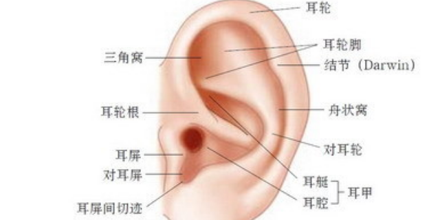江苏采耳培训班,采耳培训