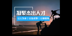 青浦区参考自动化营销平台资质 欢迎来电 上海热搜网络科技有限公司