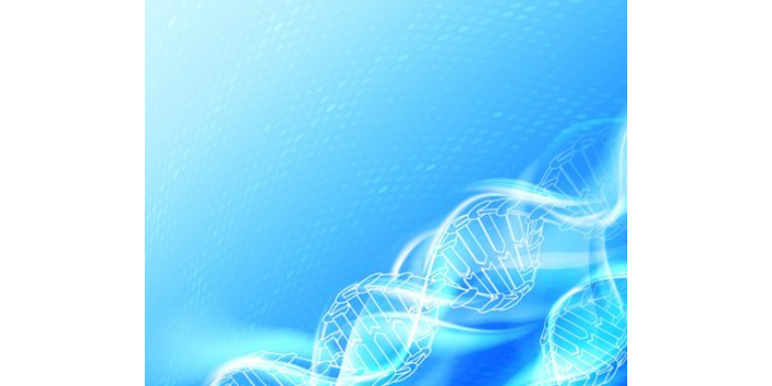 谷城企业生物化工产品技术研发软件,生物化工产品技术研发