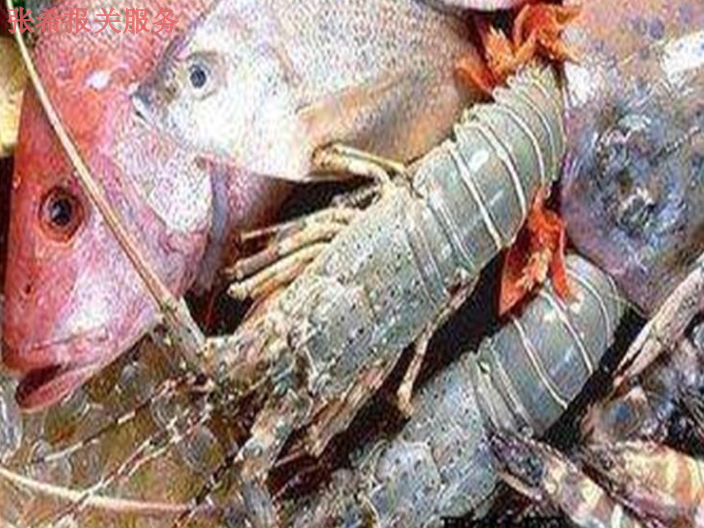 大连一站式海鲜进口报关流程,海鲜进口报关