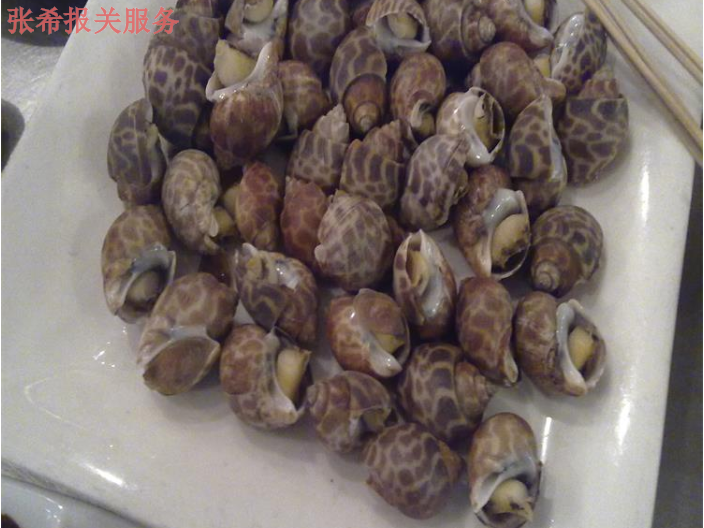 大连一站式海鲜进口报关流程,海鲜进口报关