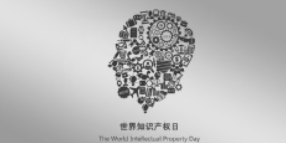 杨浦区知识所有权保护,知识所有权