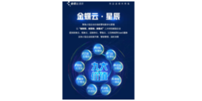 东丽区购买金蝶云星空财务软件天诚时代杨总服务很细心,金蝶云星空财务软件