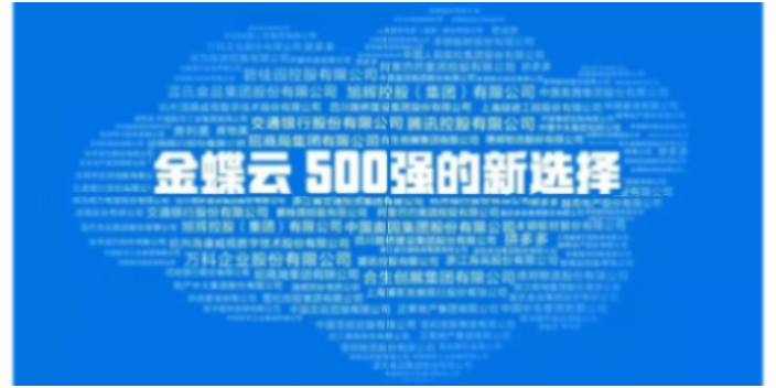 东丽区购买金蝶云星空财务软件天诚时代杨总服务很细心,金蝶云星空财务软件