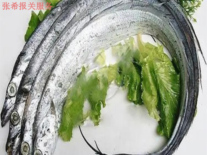 广州冷冻海鲜进口报关物流,海鲜进口报关