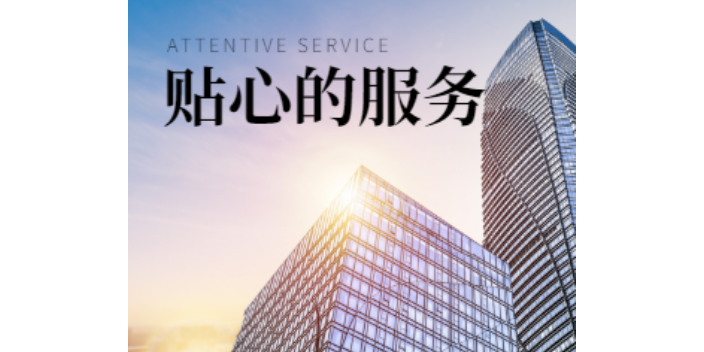 徐汇区互联网自动化营销技术指导,自动化营销