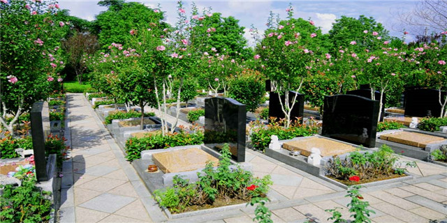 上海市崇明岛好评度高的墓园在哪,墓园