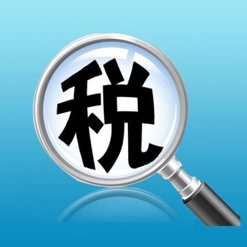 扬州数据税务服务包括什么,税务服务