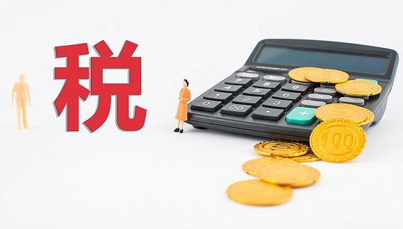 扬州数据税务服务包括什么,税务服务