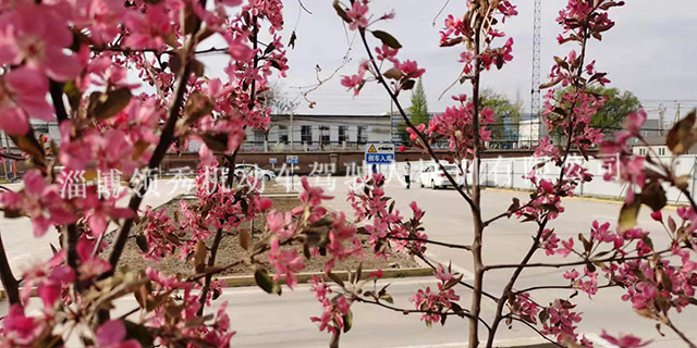 山东理工大学附近驾校哪家好,驾校