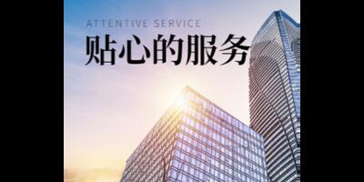虹口区网络AI智能营销值得推荐 欢迎来电 上海热搜网络科技有限公司
