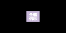 南京综合网络技术服务商家 嘉兴全速信息技术有限公司