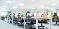 河南职业发展英语培训哪家好 推荐咨询 上海语速达教育科技供应