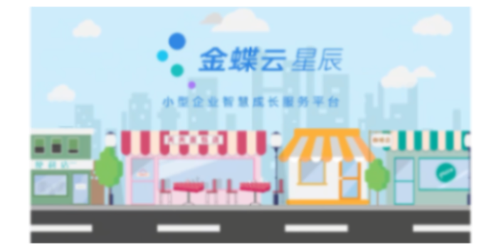 河西区体验金蝶云星辰超市新零售系统良心推荐天津天诚时代科技,金蝶云星辰超市新零售系统