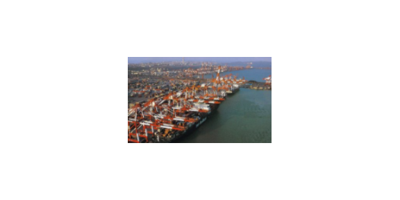 金山区第三方贸易服务商简介,贸易服务商